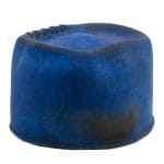 L1150201-Steller's-Jay-Back-Site